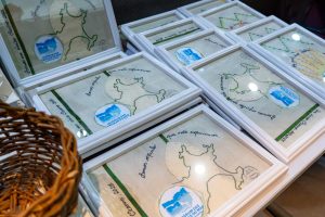 Pref. Foto Joana Tridapalli 11