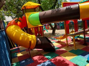 WhatsApp Image 2026 02 06 at 13.41.21